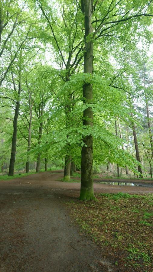 Overbosch Bilthoven Bagian luar foto
