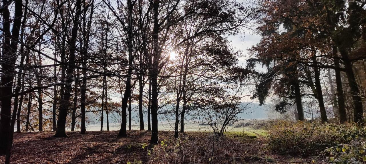 Overbosch Bilthoven Bagian luar foto